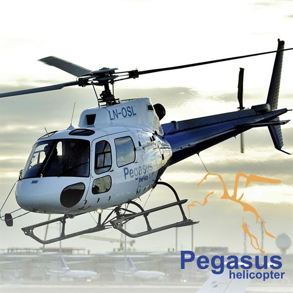 Pegasus Helicopter