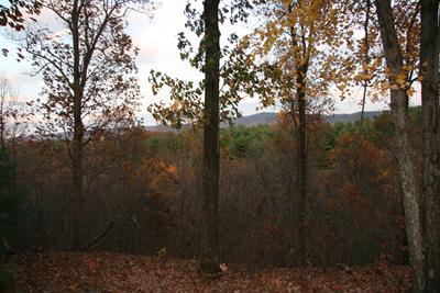 Lexington Virginia