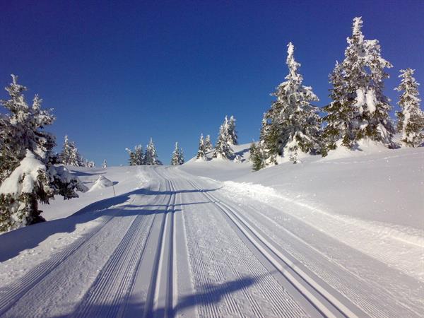 Sjusjøen